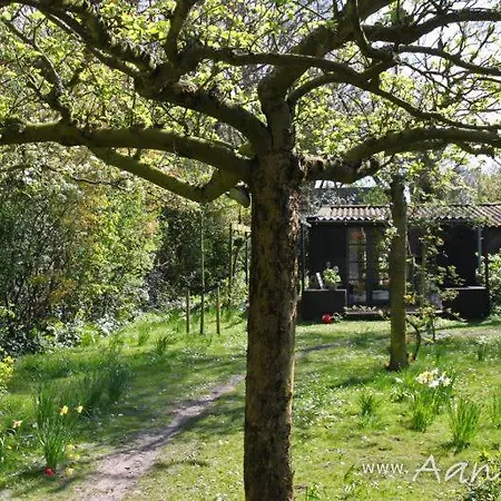 Romantiek In 't Bos Bergen