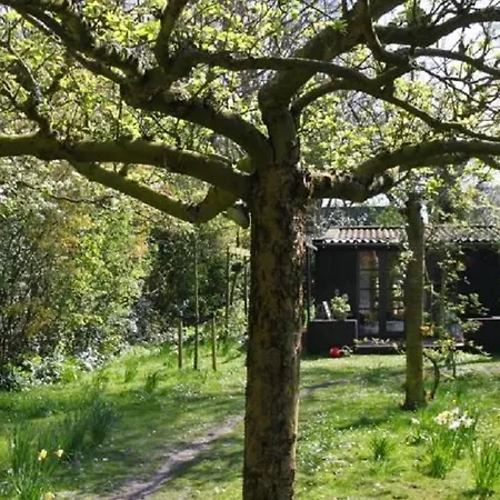 Romantiek In 't Bos Bergen